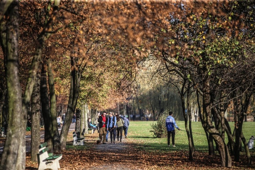 Dolina Trzech Stawów w Katowicach