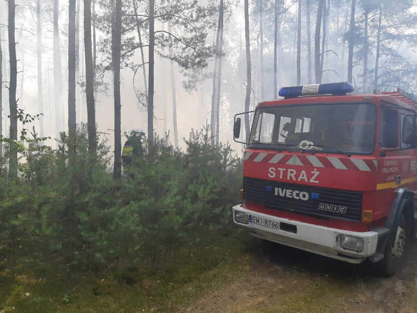 W dwa dni spłonęły blisko 2 ha lasów i 3 ha nieużytków. Pożar gasiło kilkanaście zastępów [zdjęcia]