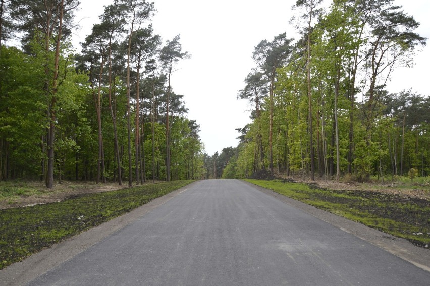 Wielka, piękna działka, na której ma być osiedle domów...