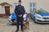 Policyjny pies wytropił włamywaczy w Świeciu