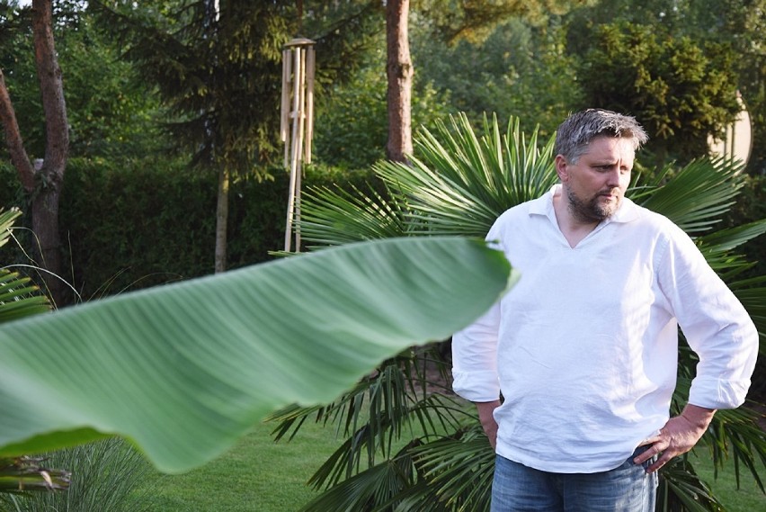 W ogrodzie Tomasza Frysztaka z Łuczyny królują palmy [ZDJĘCIA]