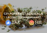 Marihuana lecznicza - będzie legalizacja? Społeczeństwo podzielone [SONDA]