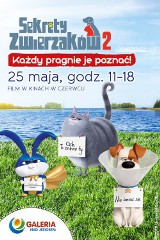 „Sekretne życie zwierzaków domowych 2” w Galerii nad Jeziorem .