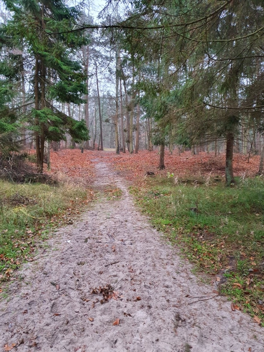 Jarosławiec, Rusinowo: Grudniowy spacer po plaży [ZDJĘCIA]