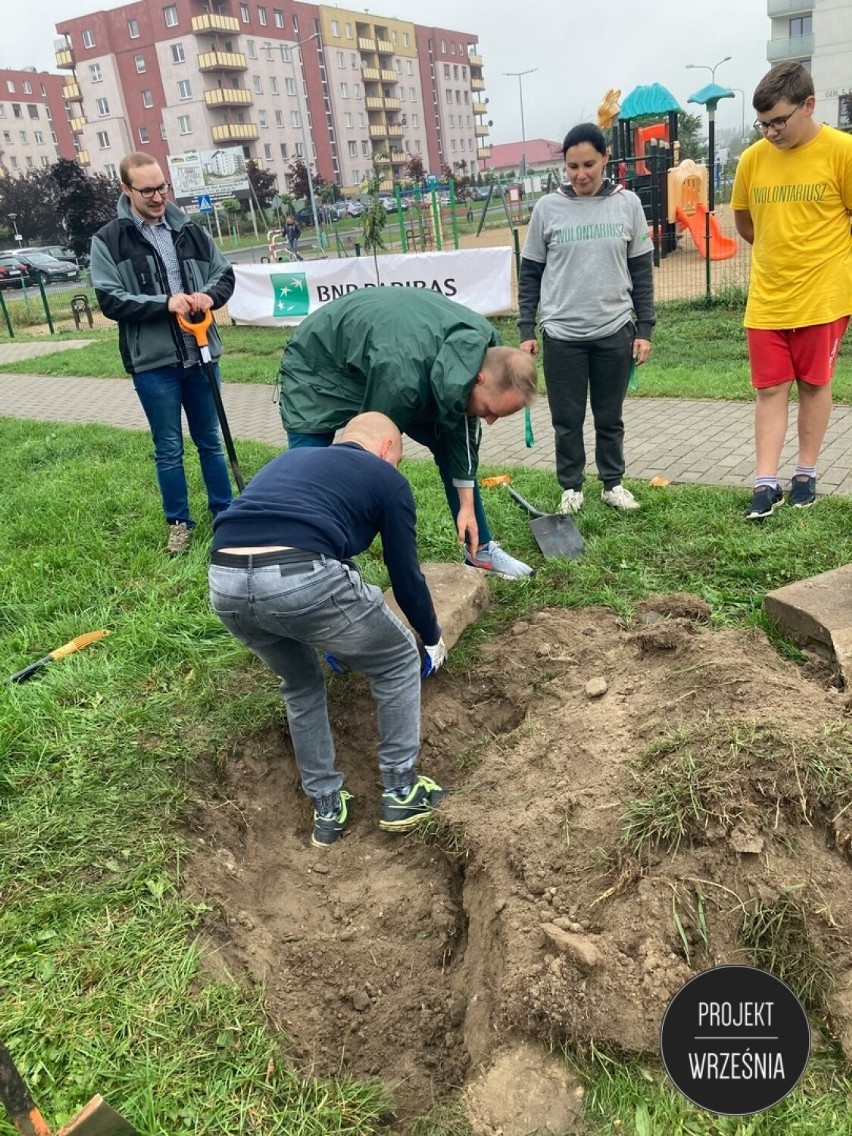 WRZEŚNIA: Stowarzyszenie Projekt Września wraz z wolontariuszami posadzili 60 drzew [FOTO]