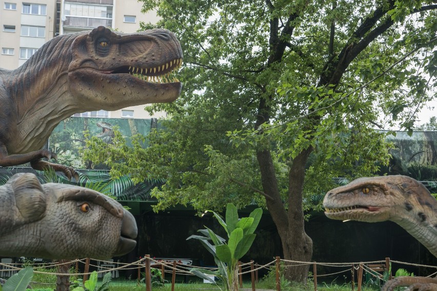 Park DinoWorld znajduje się na Saskiej Kępie