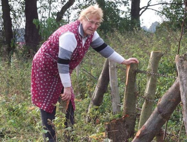 - Mąż sam stawiał zagrodę. Teraz przez te wodociągi i projekty cała aż lata - Stefania Wołowicz potrząsa słupkami od drewnianego płotu. (fot. Anna Słoniowska)