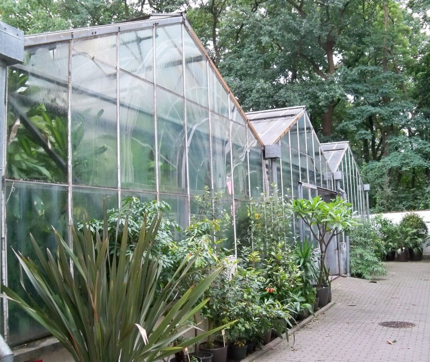 Ogród Botaniczny w Warszawie, zlokalizowany przy Alejach...