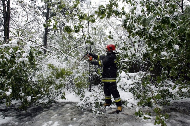 Pamiętacie majowy śnieg w Legnicy? to już dziewięć lat minęło .