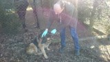 W Ostrowie znaleziono psa, który miał związane tylne łapy