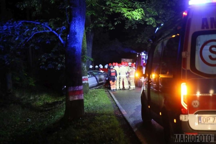 Wypadek w Ligocie Prószkowskiej pod Opolem. Citroen uderzył w drzewo. Nie żyje 32-latek z Opola