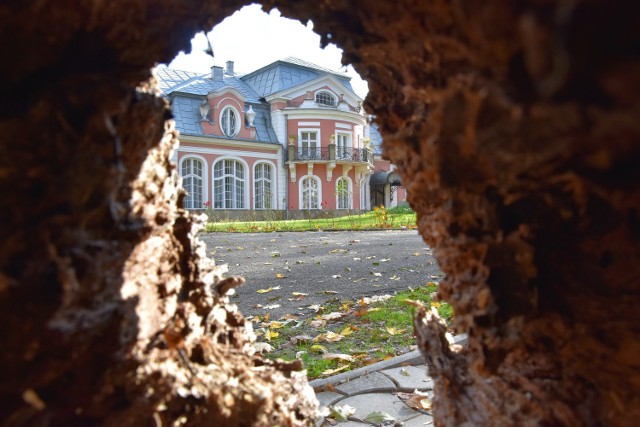 Park Długoszów w jesiennych barwach wygląda wspaniale