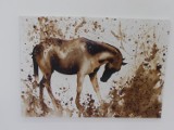 Koń w sztukach wizualnych - wystawa w BWA [ZDJĘCIA]