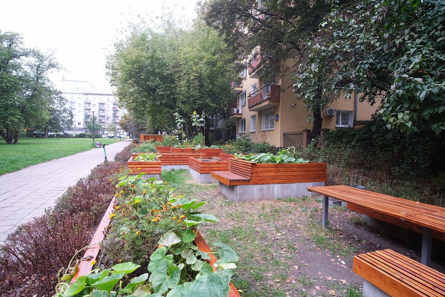 Postawili stolik i dwie ławki. No i się zaczęło. Mieszkańcy wkurzeni po  remoncie parku. "Regularne libacje alkoholowe" | Warszawa Nasze Miasto
