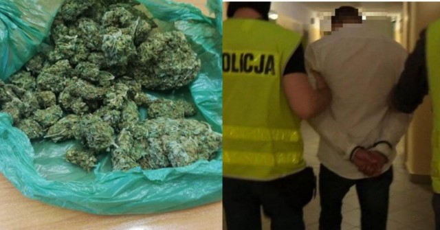 Nowa Ruda: 20-latek ukrył marihuanę w szafie z ubraniami. Teraz odpowie za posiadanie znacznej ilości narkotyków i handel nimi