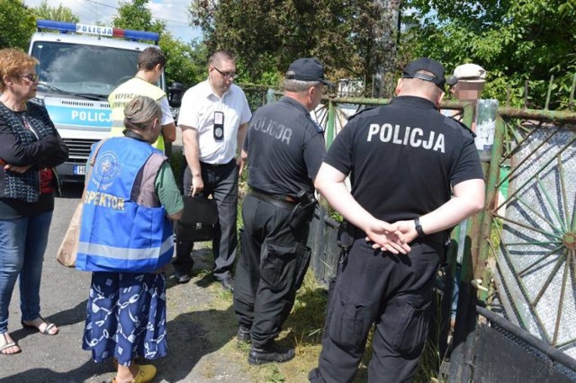 Zwierzęta odebrano interwencyjnie