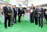 Krowa z Żołędnicy została Superczempionem [FOTO]