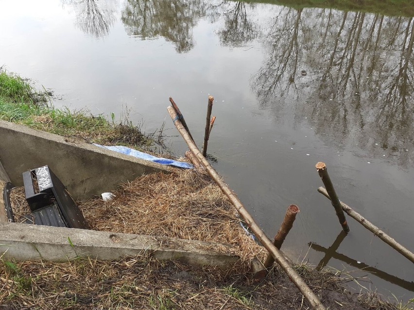 W Inie ponownie pojawiła się substancja ropopochodna