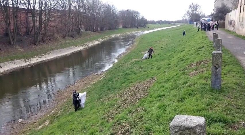 Operacja Czysta Rzeka. Akcja sprzątania terenów nadrzecznych po raz drugi w Legnicy