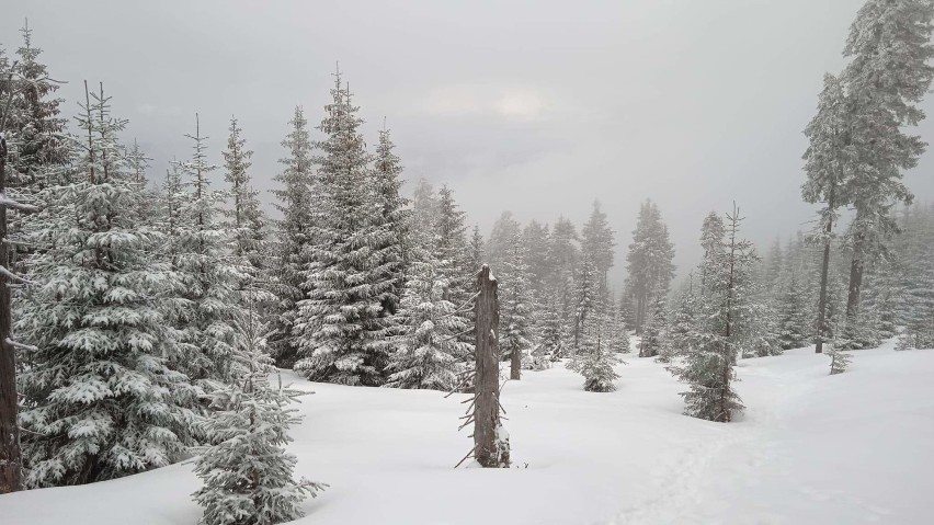Na Skalnym Stole pięknie i masa śniegu. To godzinę drogi od Wałbrzycha. Zobaczcie