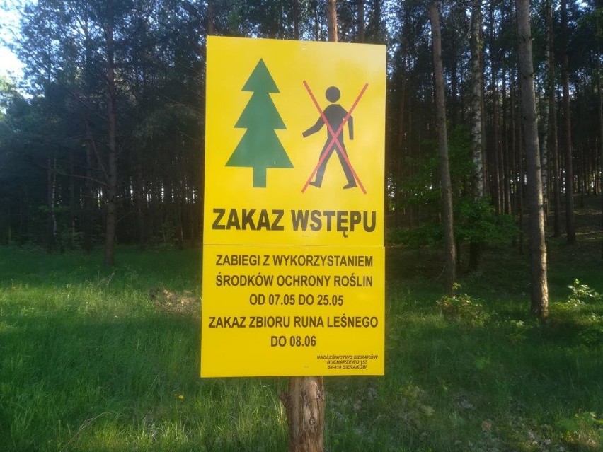 Dlaczego odbywają się zabiegi agrolotnicze i czy są szkodliwe?