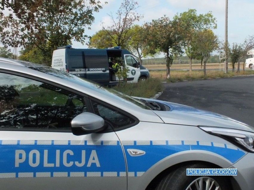 Głogowscy policjanci szukali nielegalnych odpadów w ciężarówkach