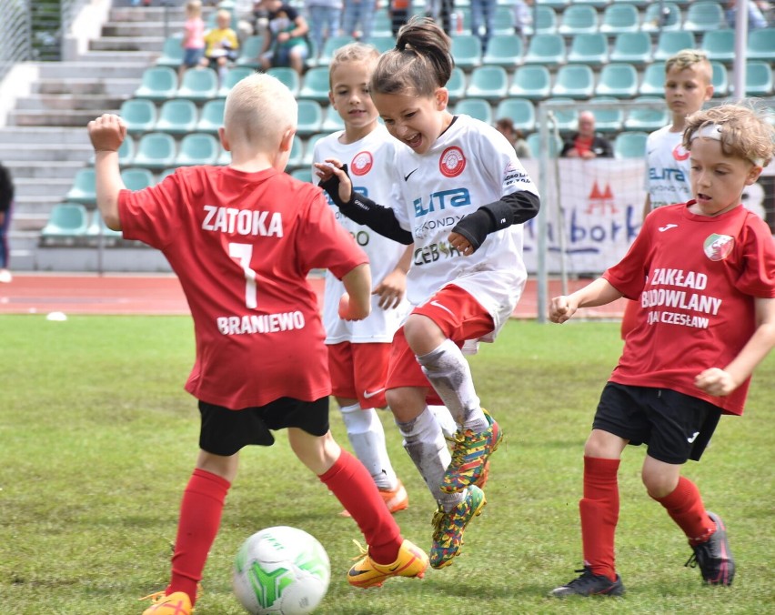 WOLF Malbork Cup 2022 już się zakończył. W drugim turnusie Złote Wilki trafiły do Siedlec, Józefowa, Radomska i na Łotwę