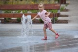 W Gubinie oficjalnie otwarto zrewitalizowany park w centrum miasta. Wydarzenie można obejrzeć na zdjęciach