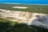 Znika las w miejscu projektowanej elektrowni jądrowej na Pomorzu