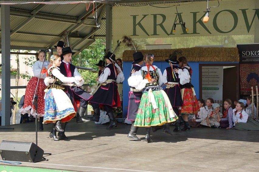 Grojec. Krakowiaczek zachwycił jury i w nagrodę wystąpi na karpackim festiwalu [ZDJĘCIA]