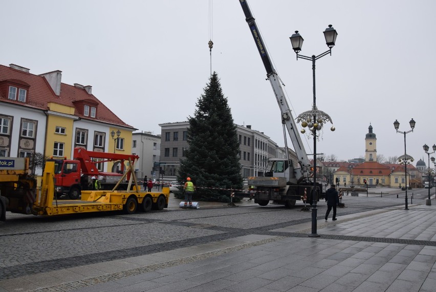 Na Rynku Kościuszki pojawiła się już świąteczna choinka. Lampki zapali na niej sam Święty Mikołaj (zdjęcia)