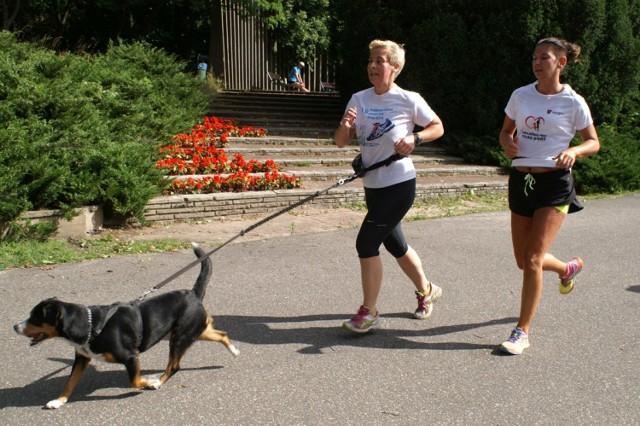 Parkrun Poznań