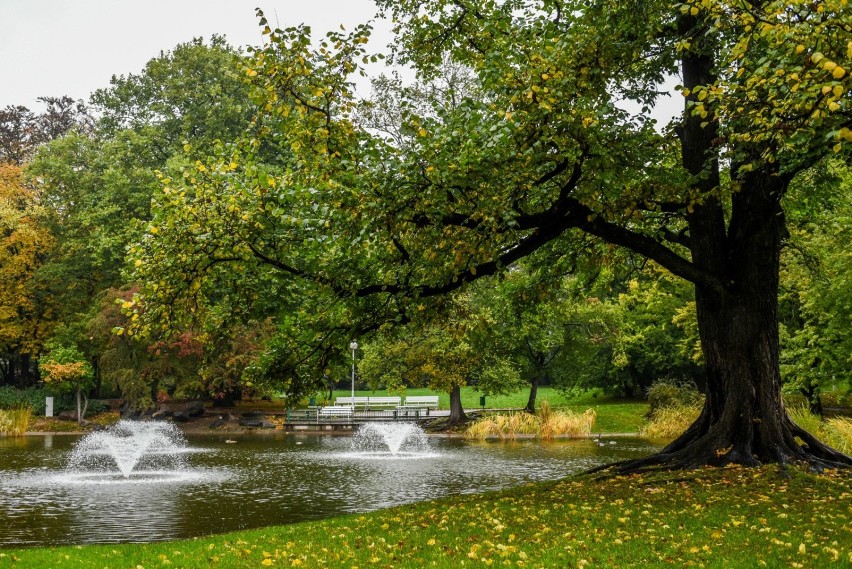 Park Wilsona będzie dostępny także dla mieszkańców...