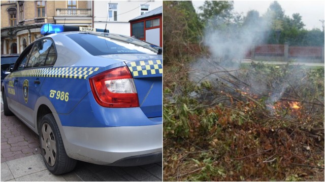 Ostatnio straż miejska ukarała mandatem mieszkańca, który palił suche gałęzie i liście na terenie osiedla Krzyż.