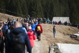 Tatry. Policja ostrzega: nie ma wyjazdu na krokusy w tym roku 5.04.