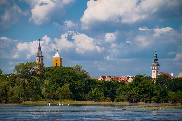 Bytom Odrzański od strony Odry - od lewej strony - wieża dawnego kościoła ewangelików, kościoła św. Hieronima i ratuszowa.