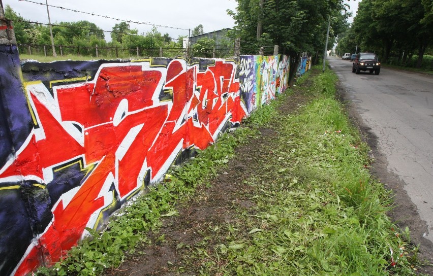 W Nowym Porcie powstało graffiti o powierzchni ponad 260 m kw. [ZDJĘCIA]