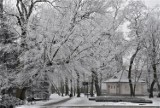 Zima w regionie. Miasta w Kujawsko-Pomorskiem pokryte śniegiem [zdjęcia]