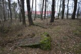 Ludzkie kości na Górze Junga w gminie Szczerców. Kto zajmie się tym terenem?