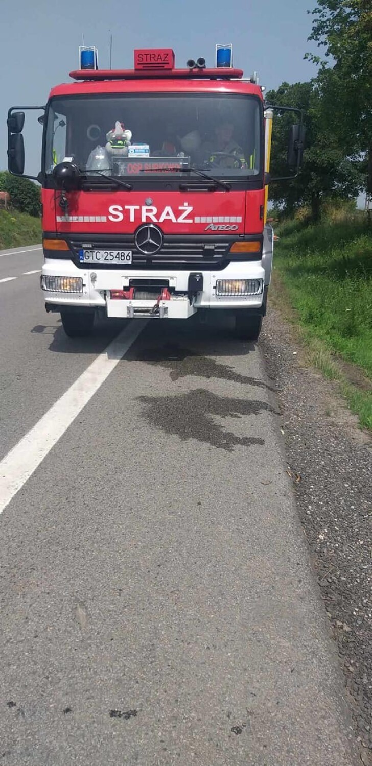 Narkowy niedaleko Tczewa. Policjanci pracowali w miejscu wypadku na DK91