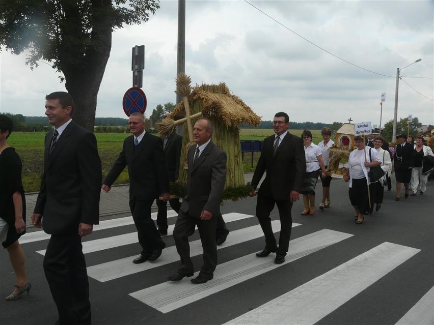 Dożynki powiatowo-gminne Wojsławice