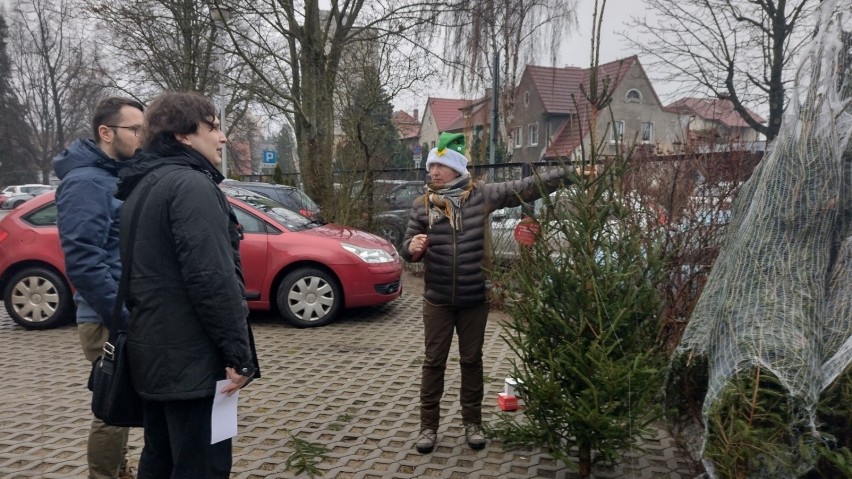 Pracownicy RDLP w Zielonej Górze rozdawali choinki osobom,...