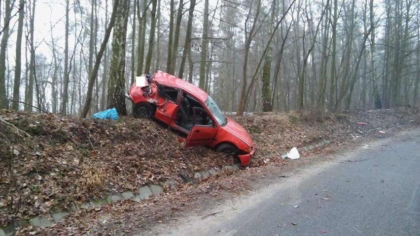Wypadek w Wielkich Łunawch. Kierujący hondą 21-latek uderzył w drzewo [zdjęcia]