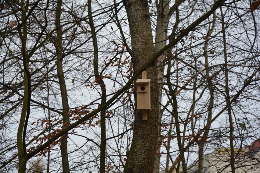 W Rodzinnym Parku Rozrywki zamontowano 10 budek dla ptaków