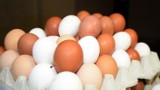 Jaja z salmonellą pochodzą z Wielkopolski!