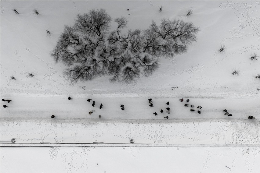 MM patronuje: Wystawa zdjęć Kacpra Kowalskiego "Sroga zima" zrobiony z lotu ptaka [zdjęcia]