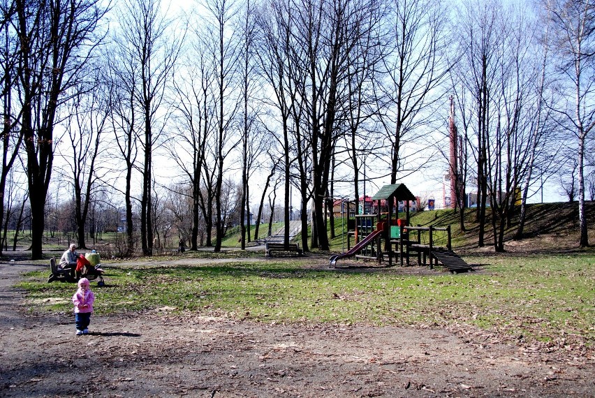 Będzin: W parku na Warpiu wycięto drzewa