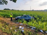 Śmiertelny wypadek pod Boszkowem. Alfa romeo rozbiła się na drzewie. Nie żyje mieszkaniec Góry [ZDJĘCIA]