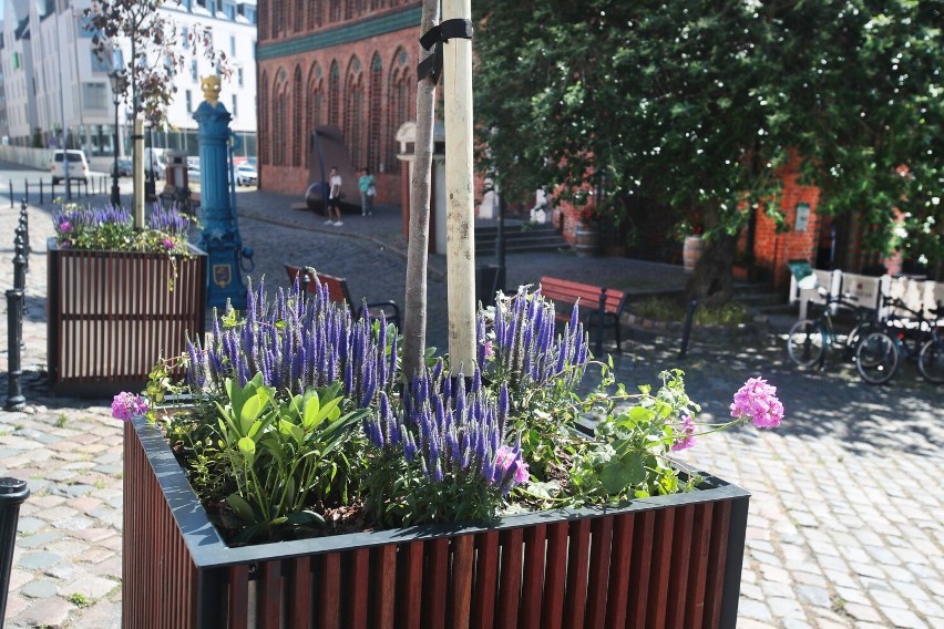 Szczecińskie Podzamcze i Rynek Sienny