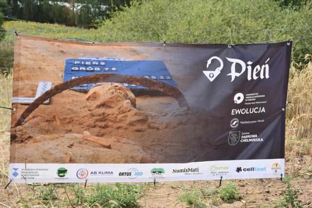 W lipcu archeolodzy wznowili prace na cmentarzysku niedaleko Ostromecka